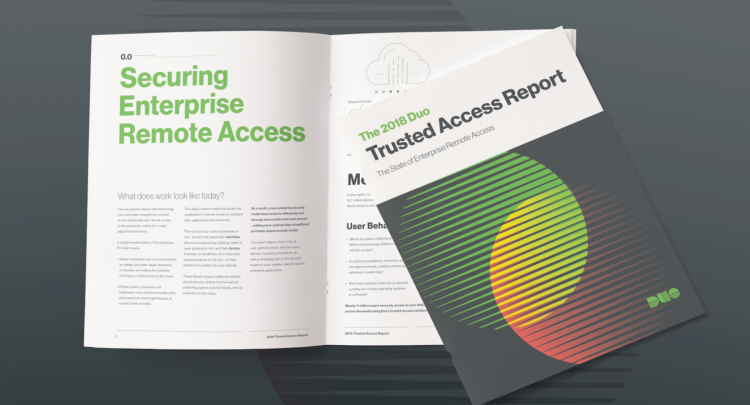 Duo Security releases a new report about trusted access